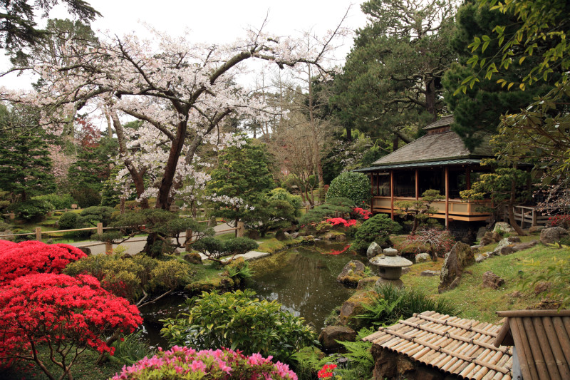 Chicago Botanical Gardens