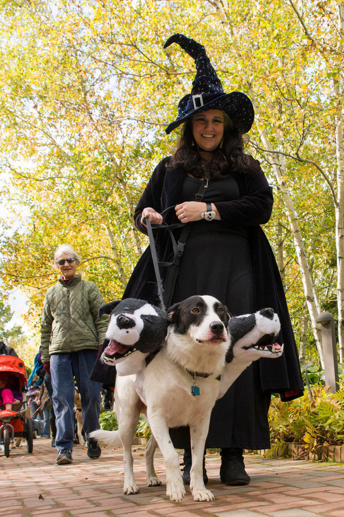 spooky-pooch-201320131019_6116-682x1024